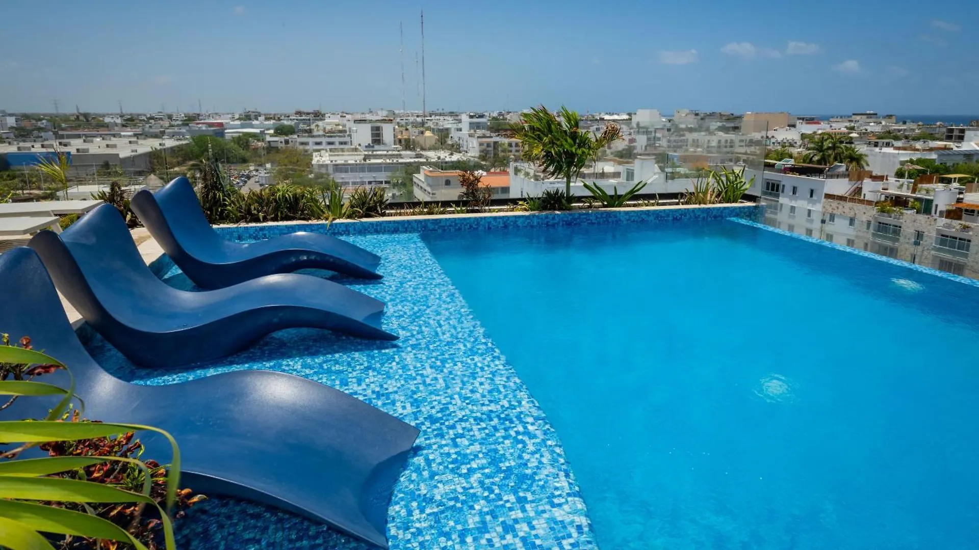Apartment Studio Walk Distance To Wallmart And 5Ta Avenue Playa del Carmen